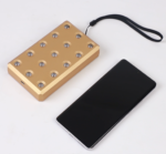LEDLightTherapyShp.com 15 LED protable kin (1)