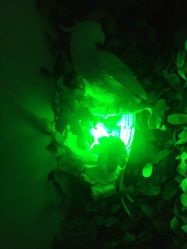 CHIRYO-Light-Therapy-Calm-Green-520nm-candle-light-bulb-E14