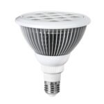 FDA Class II Red & Near-Infrared Therapy Bulb – 660nm 850nm 24W E26E27 (10)