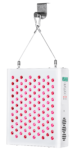 LEDLightTherapyShop.com x100 LEDs red nir (8)