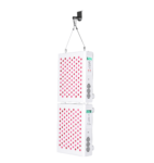 LEDLightTherapyShop.com x100 LEDs red nir (8)