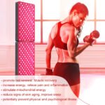 LEDLightTherapyShop.com Pulse Dimming Remore Red NIR (13)