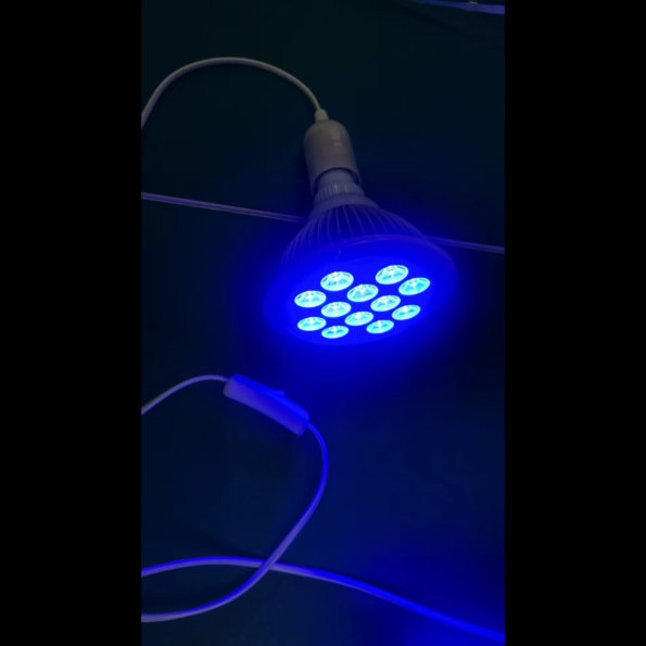 Blue Light Therapy Bulb – 470nm - E26E27 -LED - FDA Class II Certified includes lightbulb clamp holder www.LEDLihtTherapyShop.com