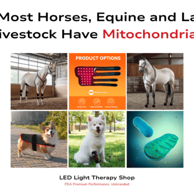 Summary: LED vs. Laser Light Therapy: Illuminating the Differences