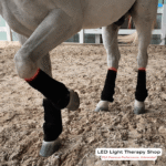 Red Light Therapy Horse Leg Wrap horse raising front leg wearing red light therapy fda leg wraps on 4 legs ed 660 near infrared 850
