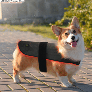 FDA Small Red Light Therapy Cape Cats Small Dogs Mini Livestock. red 660 near infrared 850 nir pulse 10hz treatment timer