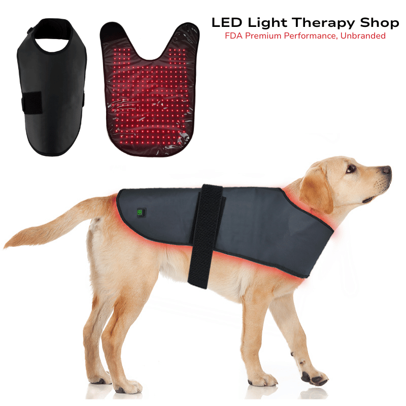 Red light therapy dog coat l-xl (pre-post surgery, pain, skin)
