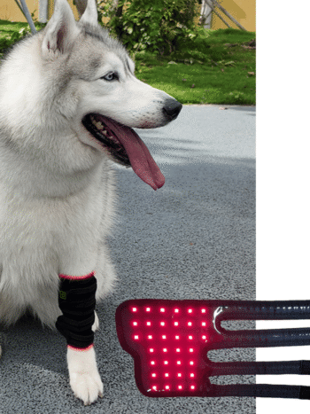 FDA Dog Leg Red Light Therapy Wrap Targeted Limb Joint Pain Relief for Dogs XL Cats Small Livestock red 660 near infrared 850 pulse 10hz natural non invasive treatment