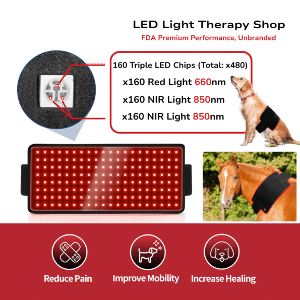 info graphic Large Area red light Therapy for Big Animals. treatment Pad with extended straps provides comprehensive treatment for horses, cattle and XL dogs red 660 near infrared 850