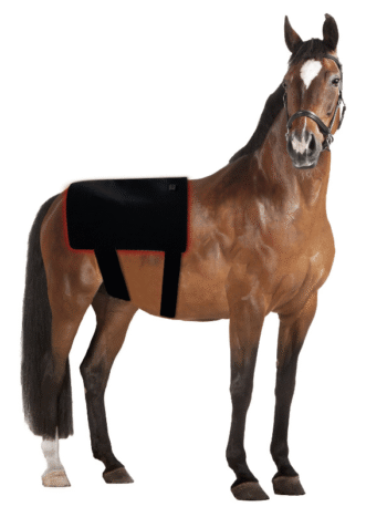 Universal red light therapy pad on horse back showing versatile use