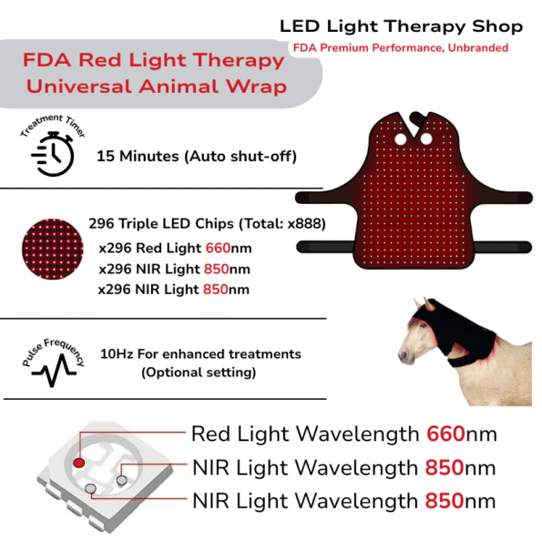 infographic poll cap showing contoured design and extended strap system Equine Poll Cap Red Light Therapy Wrap Head Neck Pain Relief for