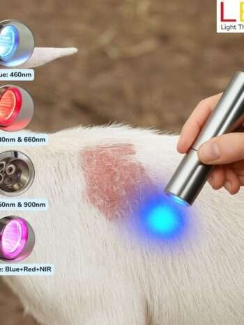 Animal 5-wavelength light therapy pen A person holding a 5 wavelength LED light therapy torch over a goat’s back skin condition, using blue light therapy for bacteria and skin healing. Designed for livestock use by LED Light Therapy Shop.