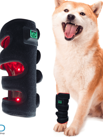Red Light Therapy Dog Leg Wrap FDA Red Light Therapy Dog Leg Wrap Dog wearing Red Light Therapy Leg Wrap from LED Light Therapy Shop showing LED controls and 660nm + 850nm light options.