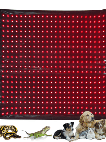 Red Light Therapy Pet Pad illuminated with 660nm red LEDs and pets beside the mat.